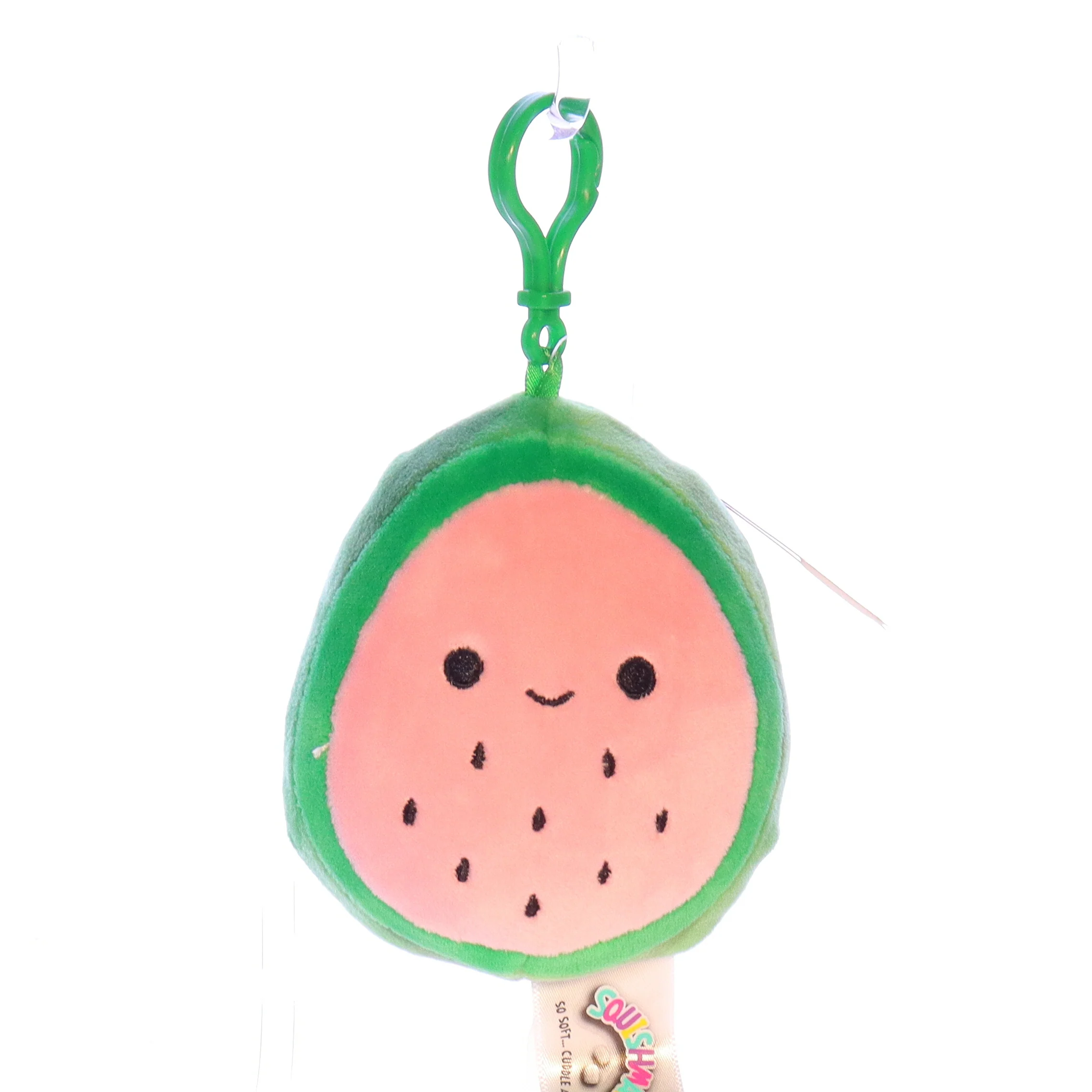 Squishmallows Plush Watermellon Stuffed Animal 734689252367 Wanda Keychain 2020