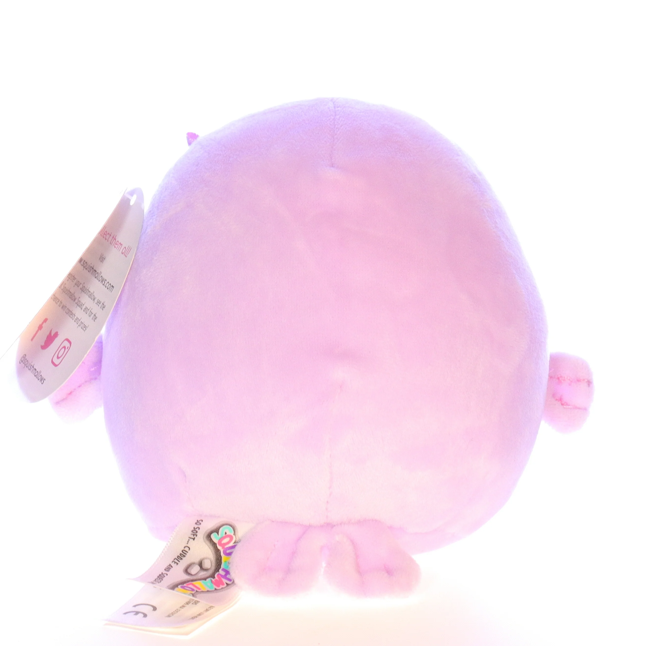 Squishmallows Plush Walrus Stuffed Animal 734689263318 Winnie 2019 5" - Image 5