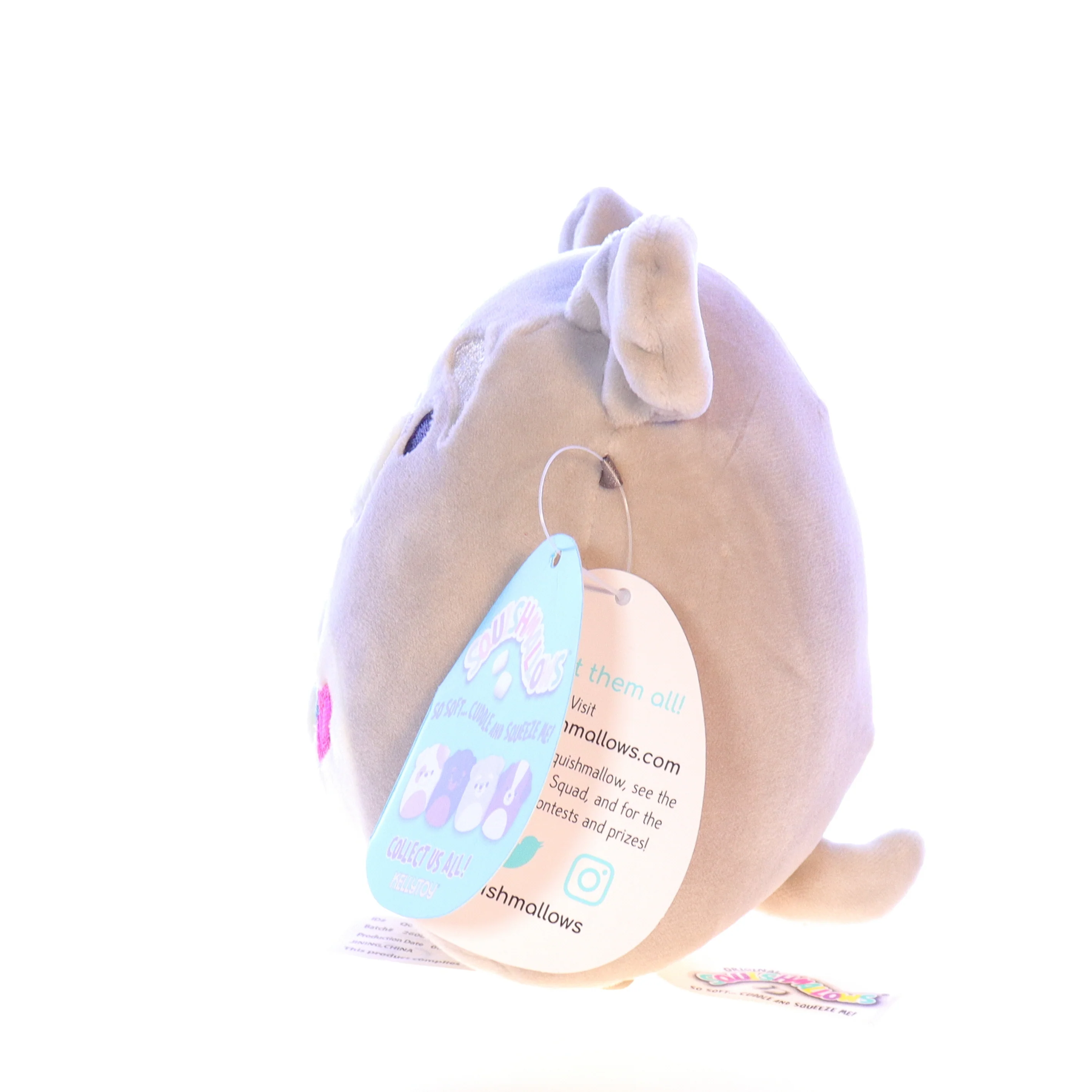 Squishmallows Plush Dog Stuffed Animal Q044 Shaun Plush 2020 5" - Image 3